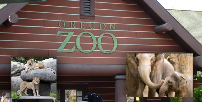 Portland Zoo